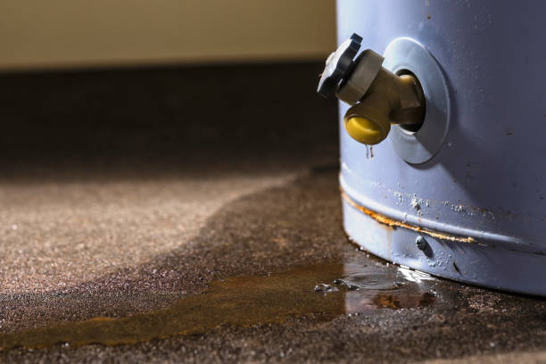 Best Professional water damage repair  in Somerset, PA