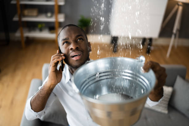 Best Water damage cleanup near me  in Somerset, PA
