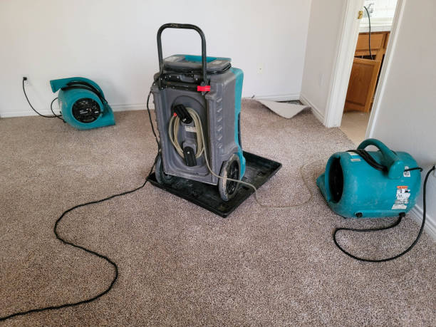 Best Fire Damage Restoration  in Somerset, PA