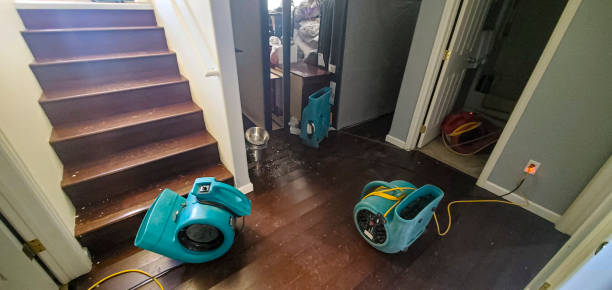 Reliable Somerset, PA Water damage restoration Solutions