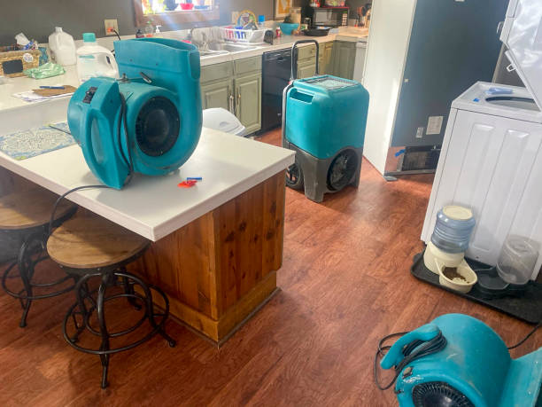 Best 24-hour water damage restoration  in Somerset, PA