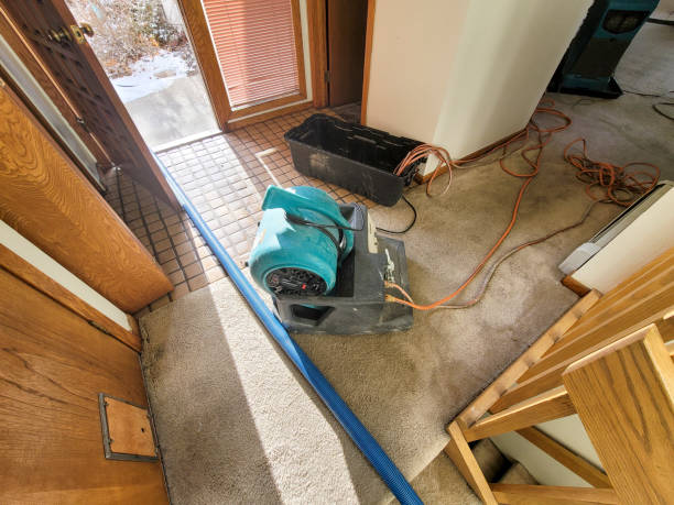 Best Mold removal after water damage  in Somerset, PA