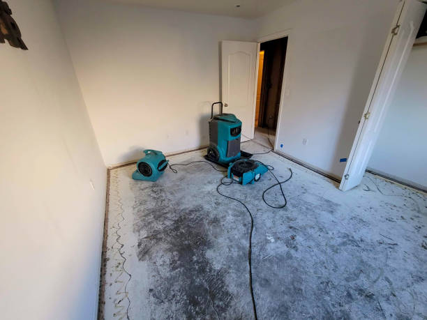 Best Water damage contractors near me  in Somerset, PA