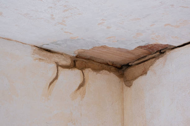 Best Residential water damage restoration  in Somerset, PA