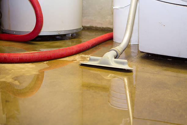 Best Flood damage cleanup  in Somerset, PA