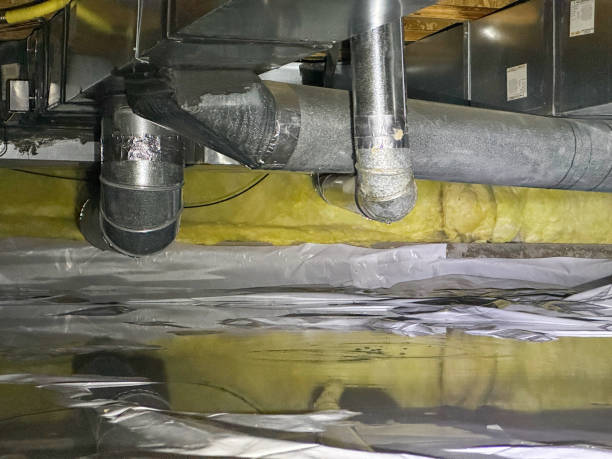 Best Flooded house restoration  in Somerset, PA