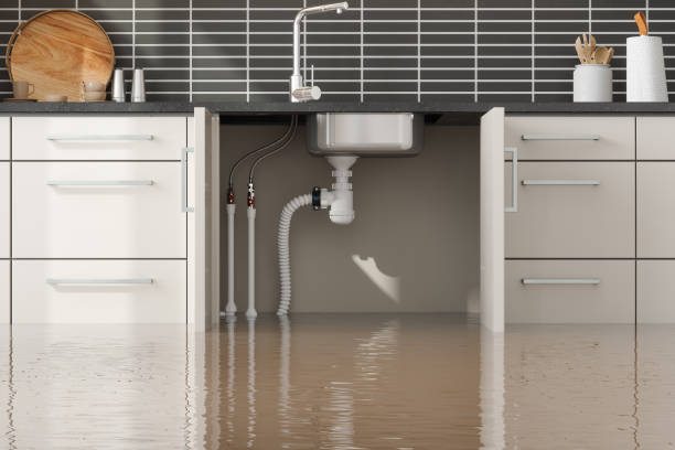 Best Ceiling water damage repair  in Somerset, PA