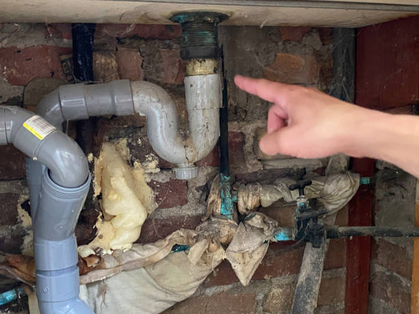 Best Water damage restoration near me  in Somerset, PA