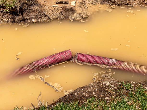 Best Flood restoration services  in Somerset, PA