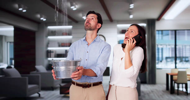 Best Sewage cleanup and water damage restoration  in Somerset, PA