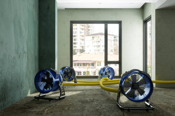 Best Water damage restoration near me  in Somerset, PA